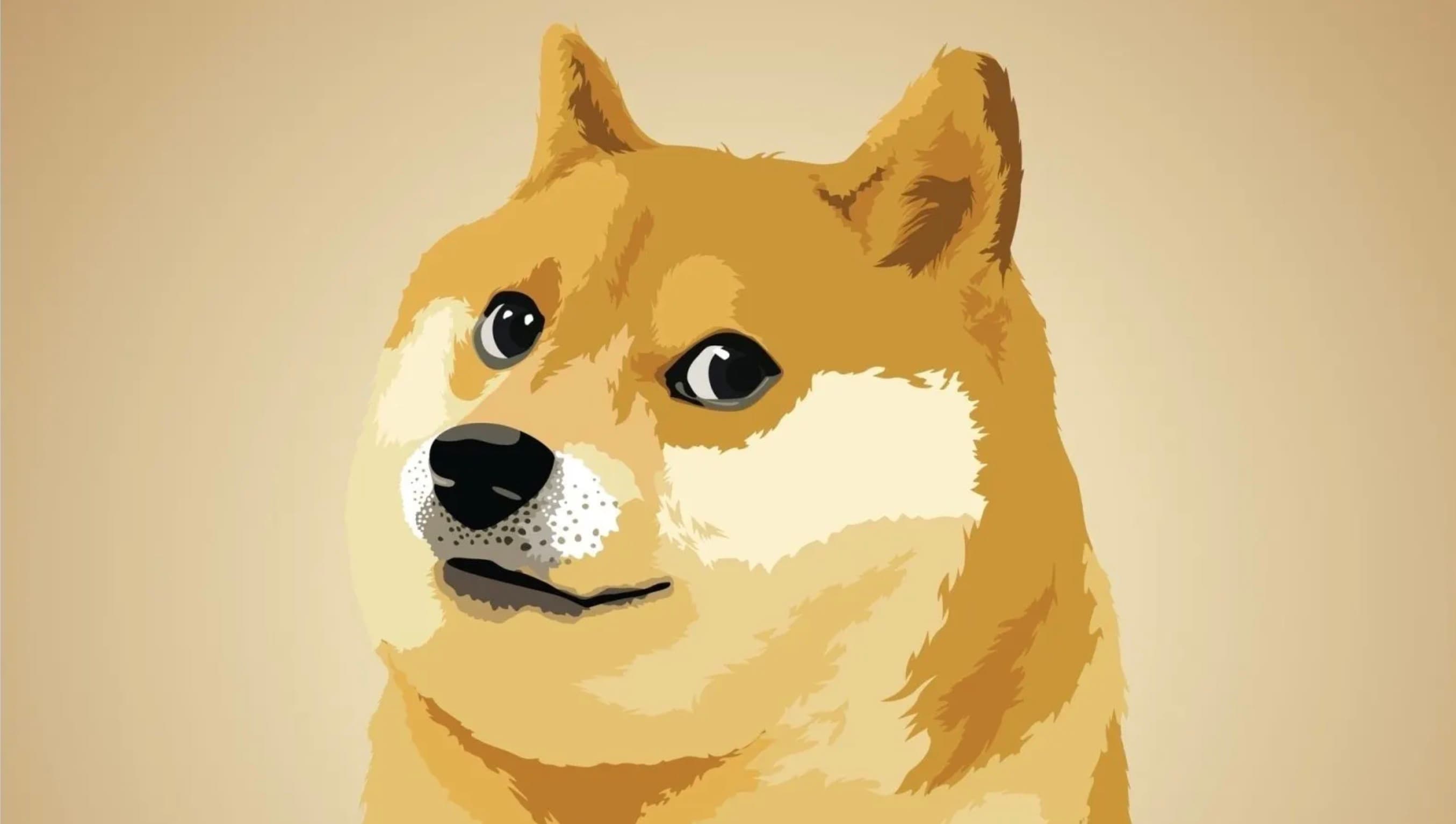 Doge Cryptocurrency and Elon Musk